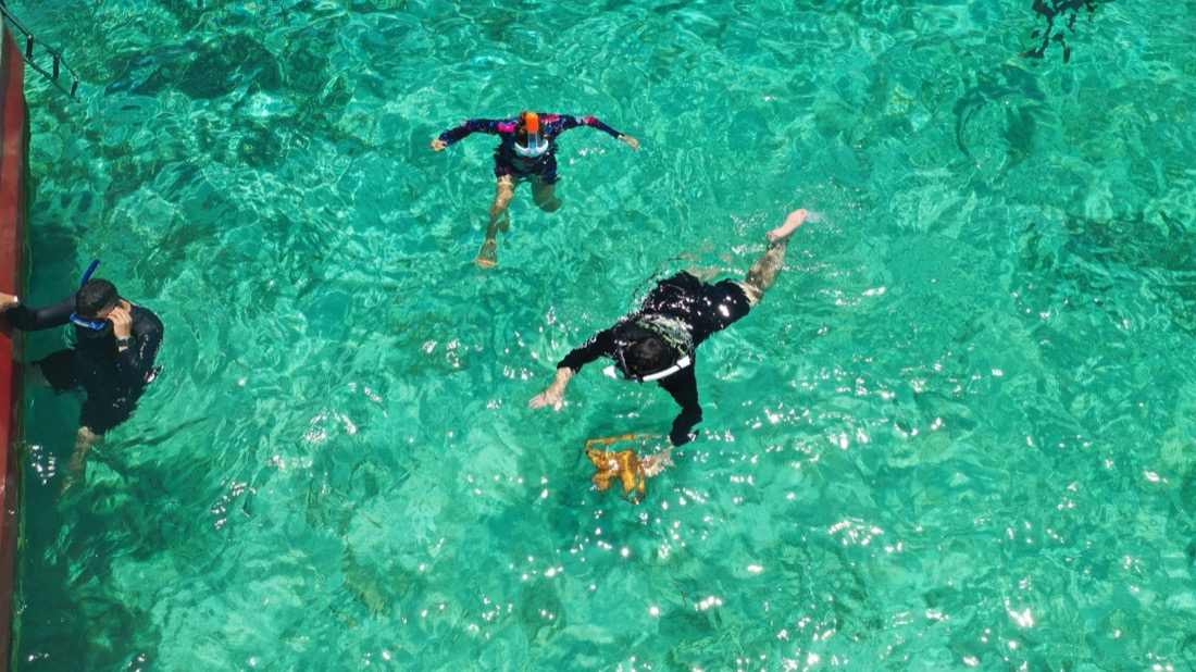 Palmetto Bay snorkeling trip Roatán